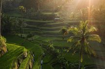 Ubud Tour Water Temple with Jungle Swing