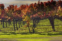 Tour wineries Lujan de Cuyo