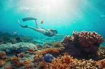 East Coast of Nusa Penida Private Snorkeling