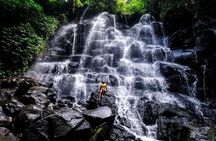 Bali Hidden Waterfall Private Tour with Pick up and Drop off