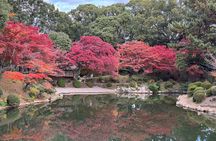 2-Hour Private Hiroshima Morning Tour