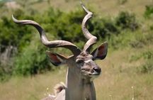 5-Days Garden Route Tour From Port Elizabeth to Cape Town