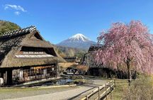 From Tokyo: Mount Fuji Sightseeing Full Day Trip