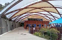 Waitomo Cave and Hobbiton Village Full Day Tour