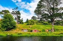 Waitomo Cave and Hobbiton Village Full Day Tour