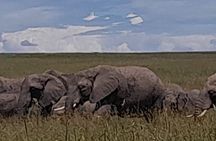 3 Days Amboseli Private Safari Tour