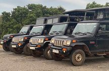 Walawe Palm Safari Udawalawe 