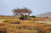 Wakanda Forever tour with 4wd transport