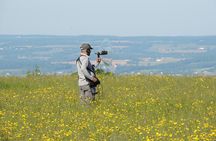 Chennai, Birding with Sound Approach, Spotting Scope, 2-3 hours 