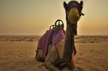Morning Desert Safari with Quad Bike