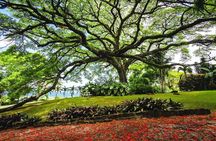 Ken's Panoramic Tour