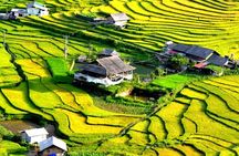 Private Tour Nghia Lo Mu Cang Chai Sapa Bac Ha 5-day from Hanoi