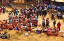 Private Tour Nghia Lo Mu Cang Chai Sapa Bac Ha 5-day from Hanoi