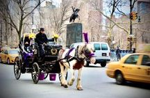 Central Park and NYC Horse Carriage Ride 