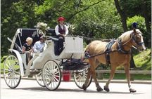 Central Park and NYC Horse Carriage Ride 