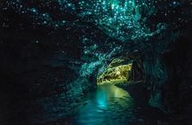 Waitomo Cave and Hobbiton Village Full Day Tour