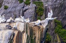Ultimate Skellig Coast Tour with AquaTerra Boat Tours