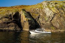 Ultimate Skellig Coast Tour with AquaTerra Boat Tours