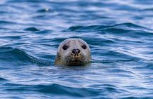The Valentia Island Experience