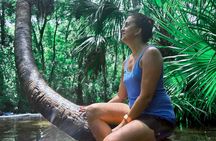 Rainbow Springs Clear Kayak and Paddleboard Guided Tours