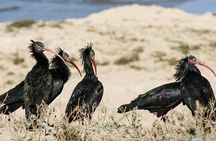 National Park 4×4 Safari from Agadir with Lunch