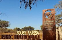 National Park Jeep safari 4×4 with Lunch Included 