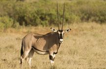 National Park Jeep safari 4×4 with Lunch Included 