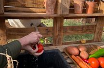 Moroccan Cooking Class and Eco-Farm Visit - Full day