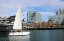 San Diego's first ever Family Sailing Tours
