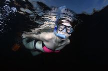 NIGHT TIME Guided Snorkel tour 