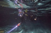 NIGHT TIME Guided Snorkel tour 