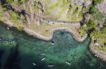Kings Bay Eco Tours