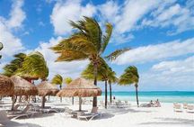 Punta Cana: Saône Island in Catamaran, Small Groups, With Food 