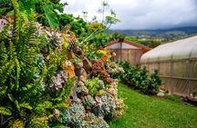 Pueo Farm Tour (1.5 hr) Upcountry Kula Maui Hawaii