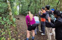 Cloud forest wonders guided tour
