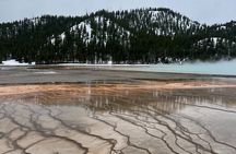 Private Old Faithful, Grand Prismatic, & Canyon Safari