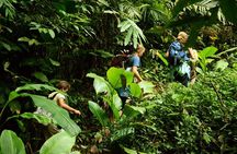 Jungle Experience: 1 Day Trek in Nam Ha NPA