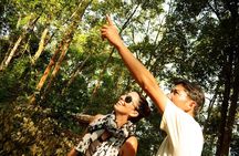 Jungle Experience: 1 Day Trek in Nam Ha NPA