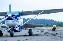 Bear Viewing Excursion and Airplane Adventure Tour