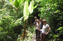 Jungle Experience: 1 Day Trek in Nam Ha NPA