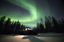 Private Group: Northern Lights Hunt 4x4 SUV with Aurora guarantee