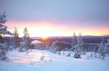 Private: Snowshoeing Safari in spectacular National Park