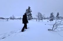 Private: Snowshoeing Safari in spectacular National Park