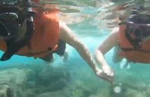 White Sand Beach Jaco Snorkel Adventure with Monkey Tour