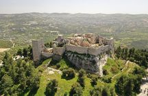 Trip to Jerash, Ajloun and Umm Qais 