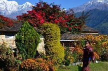 Day hiking to Dhampus - Astam Village 