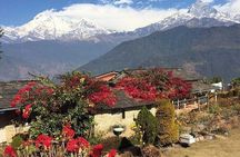 Day hiking to Dhampus - Astam Village 