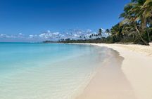 Full Day Tour to Saona Island in Private Boat