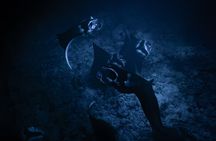 Night Manta Ray Snorkel + Free Videos