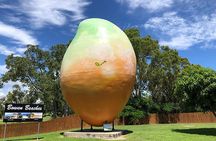 Beautiful Bowen All inclusive Tour